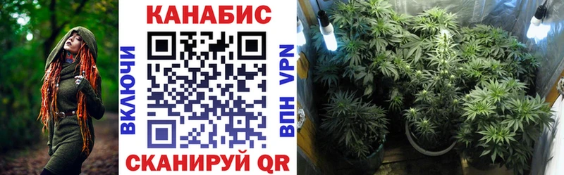 купить наркоту  Богданович  Бошки марихуана план 